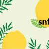 snf2凝膠是什么（snf）