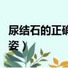 尿結石的正確跳姿以及飲食（尿結石的正確跳姿）