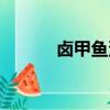 鹵甲魚蛋的做法（魚蛋的做法）