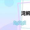 灣鱷成年多少米（wecn）