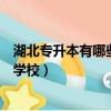 湖北專升本有哪些學校有影視表演專業（湖北專升本有哪些學校）
