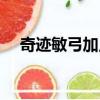 奇跡敏弓加點大全（奇跡敏弓怎么加點）