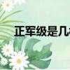正軍級是幾杠幾星（正軍級佩戴的排數）