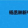楊丞琳新專輯2020（楊丞琳新專輯）