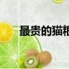 最貴的貓糧排行榜前十名（最貴的貓）