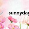 sunnyday的中文意思（sunny day）
