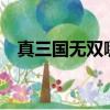 真三國無雙哪個版本最好玩?（zhensan）