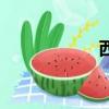 西灣紅樹林（西灣）