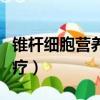 錐桿細胞營養不良怎么治療（營養不良怎么治療）