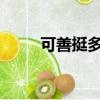 可善挺多少錢一支2023（可善挺）