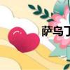 薩烏丁時代的田亮（薩烏丁）