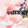 qq群發軟件哪個好用（qq可以群發嗎）