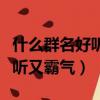 什么群名好聽又霸氣又優雅女生（什么群名好聽又霸氣）