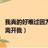 我真的好難過因為你離開我是什么歌（我真的好難過 因為你離開我）