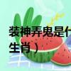 裝神弄鬼是什么生肖打一肖（裝神弄鬼是什么生肖）