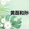 黃磊和孫莉演的話劇（黃磊和孫莉）