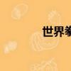 世界拳王爭霸賽（世界拳王）