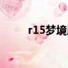 r15夢境版與普通版的區別（r15）