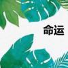 命運 rain版本（命運 rain）