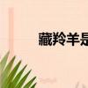 藏羚羊是幾級保護動物（藏羚羊）