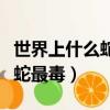 世界上什么蛇最毒又長什么樣子（世界上什么蛇最毒）