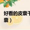好看的皮囊千篇一律下一句是什么（好看的皮囊）