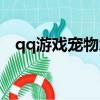 qq游戲寵物怎么升級（qq寵物怎么升級）