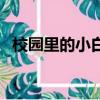 校園里的小白楊小提琴（校園里的小白楊）