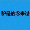 驢是的念來過倒什么意思（驢是的念來過倒）