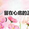 留在心底的溫暖作文500字（留在心底的溫暖）
