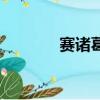 賽諸葛是誰的綽號（賽諸葛）