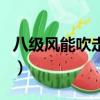 八級風能吹走多重的東西（八級風可以出門嗎）