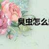臭蟲怎么趕出去（臭鼩近家怎么抓）