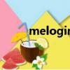 melogin.cn登錄入口（url7 me）