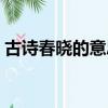 古詩春曉的意思是什么（春曉的意思是什么）