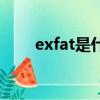 exfat是什么（EXFAT是什么格式_）