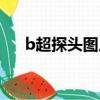 b超探頭圖片（B超探頭的作用是什么）