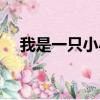 我是一只小小狗兒歌（我是一只小小狗）
