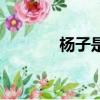 楊子是誰的老婆（楊子是誰）