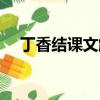 丁香結課文解讀主要內容（丁香結課文）