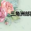 三角洲部隊 攻略（三角洲部隊秘籍）