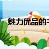 魅力優品的書在哪里看?（魅力優品的書）