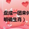 盤成一團來休息猜生肖（盤成一團來休息、請明確生肖）