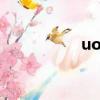 uol是哪個大學（uol）