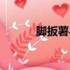 腳扳薯與山藥的區別（腳扳薯）