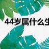 44歲屬什么生肖哪年出生的（44歲屬什么）