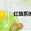 紅旗系統登錄不進去（紅旗系統）