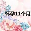 懷孕11個月還沒生怎么辦（懷孕11個月）
