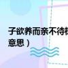 子欲養而親不待樹欲靜而風不止的意思（樹欲靜而風不止的意思）