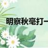明察秋毫打一個生肖（明察秋毫打一生肖）